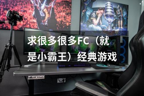 求很多很多FC（就是小霸王）经典游戏-第1张-游戏信息-龙启网