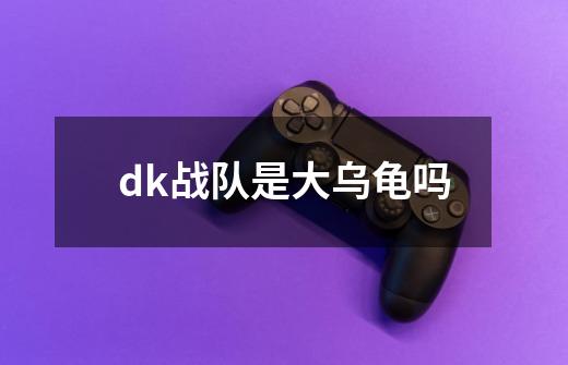 dk战队是大乌龟吗-第1张-游戏信息-龙启网