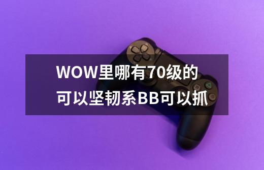 WOW里哪有70级的可以坚韧系BB可以抓-第1张-游戏信息-龙启网