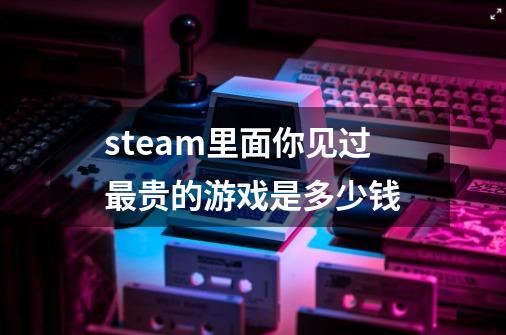 steam里面你见过最贵的游戏是多少钱-第1张-游戏信息-龙启网