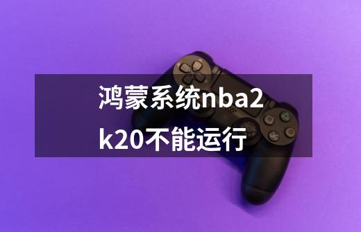 鸿蒙系统nba2k20不能运行-第1张-游戏信息-龙启网