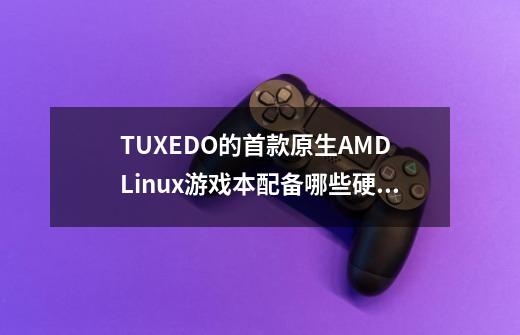 TUXEDO的首款原生AMD Linux游戏本配备哪些硬件，售价多少-第1张-游戏信息-龙启网