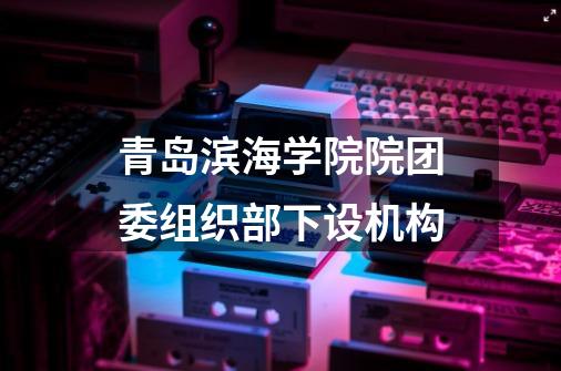 青岛滨海学院院团委组织部下设机构-第1张-游戏信息-龙启网