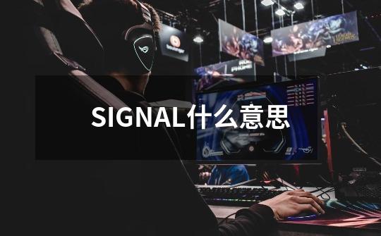 SIGNAL什么意思-第1张-游戏信息-龙启网