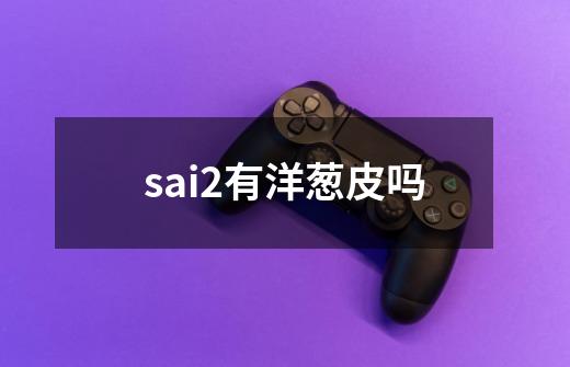 sai2有洋葱皮吗-第1张-游戏信息-龙启网