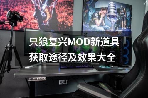 只狼复兴MOD新道具获取途径及效果大全-第1张-游戏信息-龙启网