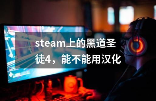 steam上的黑道圣徒4，能不能用汉化-第1张-游戏信息-龙启网