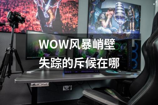 WOW风暴峭壁失踪的斥候在哪-第1张-游戏信息-龙启网