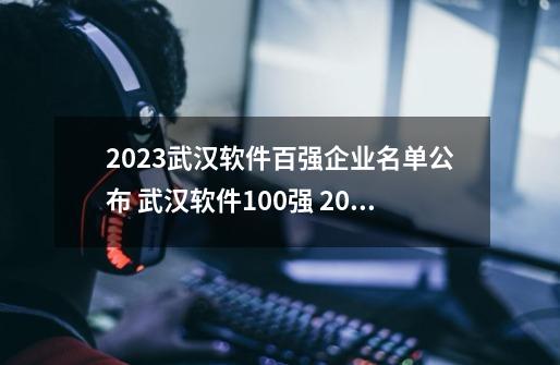 2023武汉软件百强企业名单公布 武汉软件100强 2023武汉软件公司排名榜一览-第1张-游戏信息-龙启网