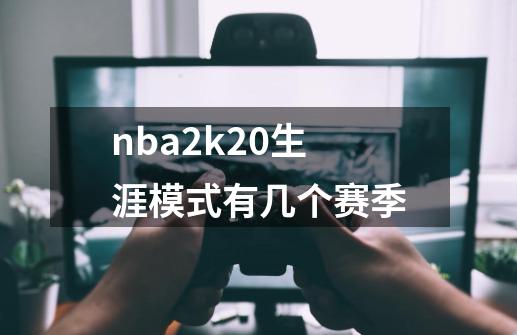 nba2k20生涯模式有几个赛季-第1张-游戏信息-龙启网