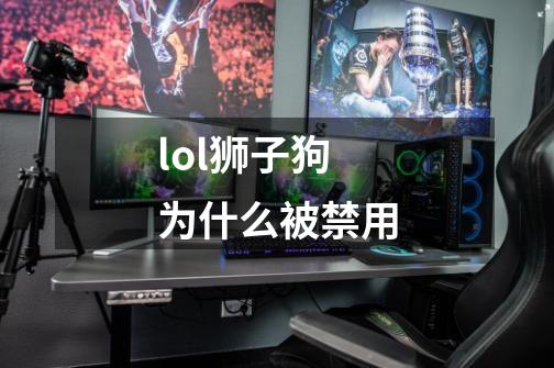 lol狮子狗为什么被禁用-第1张-游戏信息-龙启网