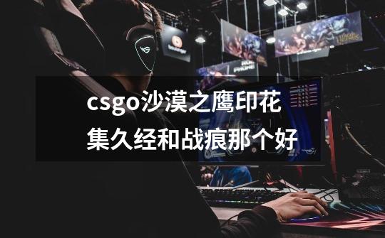 csgo沙漠之鹰印花集久经和战痕那个好-第1张-游戏信息-龙启网