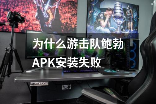 为什么游击队鲍勃APK安装失败-第1张-游戏信息-龙启网