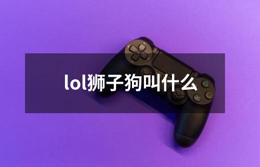 lol狮子狗叫什么-第1张-游戏信息-龙启网