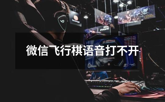 微信飞行棋语音打不开-第1张-游戏信息-龙启网