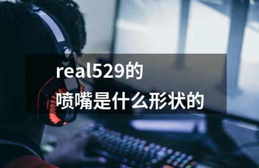 real529的喷嘴是什么形状的-第1张-游戏信息-龙启网