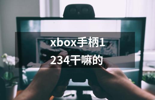 xbox手柄1234干嘛的-第1张-游戏信息-龙启网