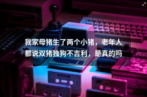 我家母猪生了两个小猪，老年人都说双猪独狗不吉利，是真的吗-第1张-游戏信息-龙启网