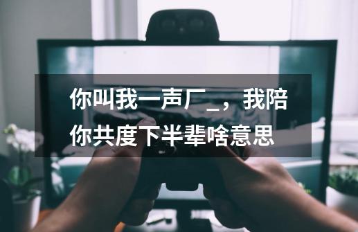 你叫我一声厂_，我陪你共度下半辈啥意思-第1张-游戏信息-龙启网