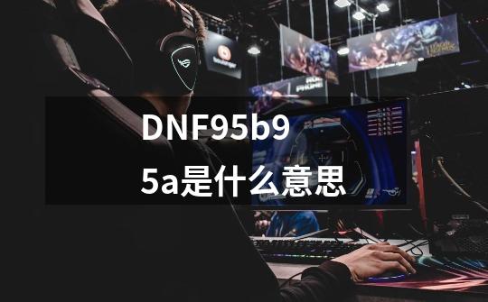 DNF95b95a是什么意思-第1张-游戏信息-龙启网