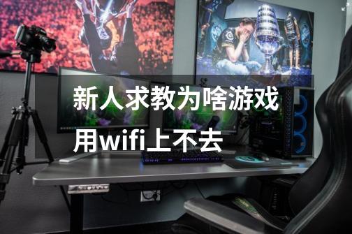 新人求教为啥游戏用wifi上不去-第1张-游戏信息-龙启网