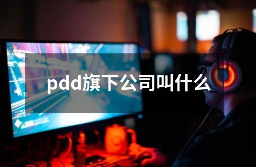 pdd旗下公司叫什么-第1张-游戏信息-龙启网