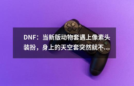 DNF：当新版动物套遇上像素头装扮，身上的天空套突然就不香了-第1张-游戏信息-龙启网