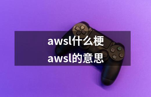 awsl什么梗awsl的意思-第1张-游戏信息-龙启网