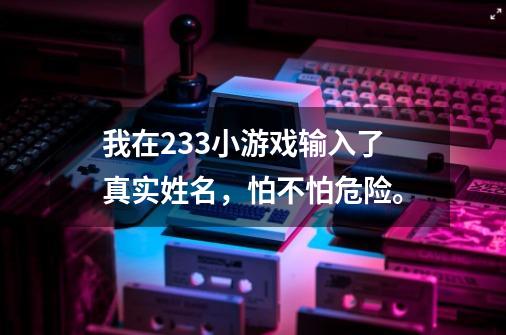 我在233小游戏输入了真实姓名，怕不怕危险。-第1张-游戏信息-龙启网