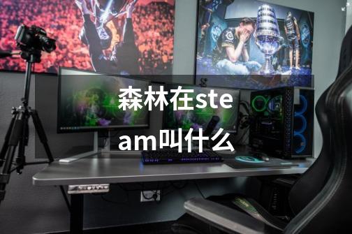 森林在steam叫什么-第1张-游戏信息-龙启网