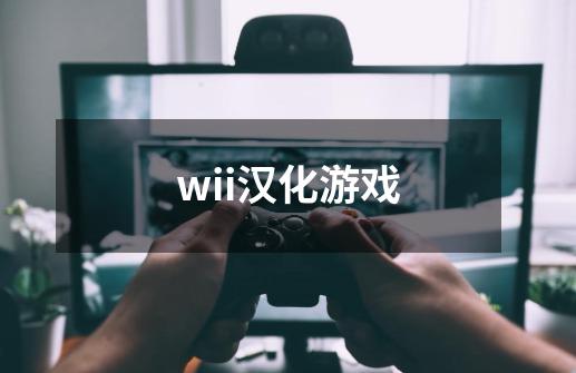 wii汉化游戏-第1张-游戏信息-龙启网