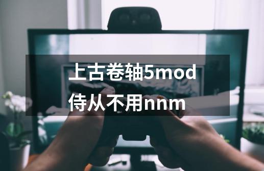 上古卷轴5mod侍从不用nnm-第1张-游戏信息-龙启网