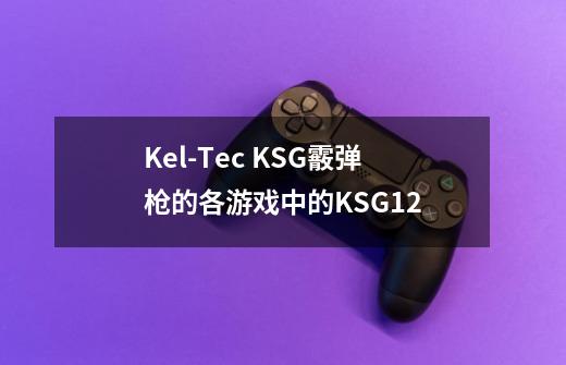 Kel-Tec KSG霰弹枪的各游戏中的KSG12-第1张-游戏信息-龙启网