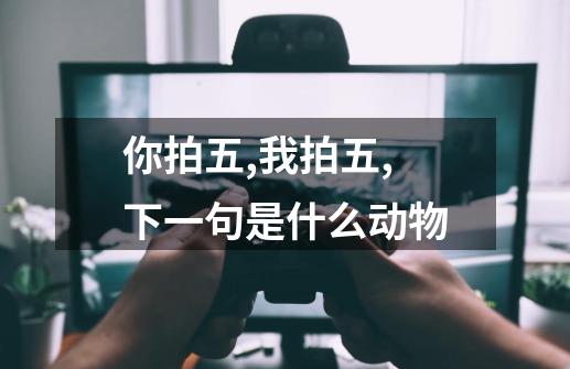 你拍五,我拍五,下一句是什么动物-第1张-游戏信息-龙启网