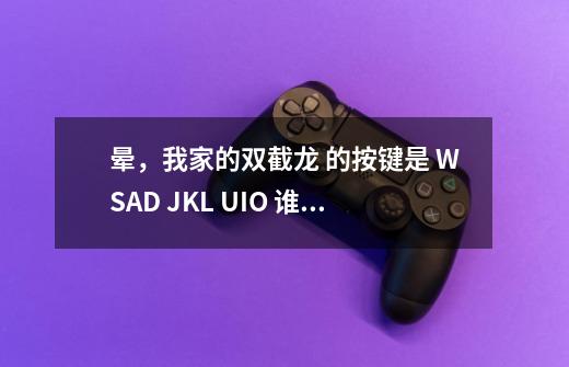 晕，我家的双截龙 的按键是 WSAD JKL UIO 谁能告诉下这怎么按-第1张-游戏信息-龙启网