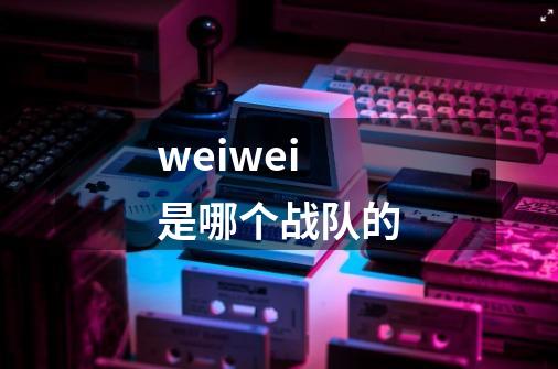 weiwei是哪个战队的-第1张-游戏信息-龙启网