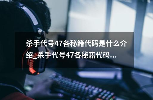 杀手代号47各秘籍代码是什么介绍_杀手代号47各秘籍代码是什么是什么-第1张-游戏信息-龙启网