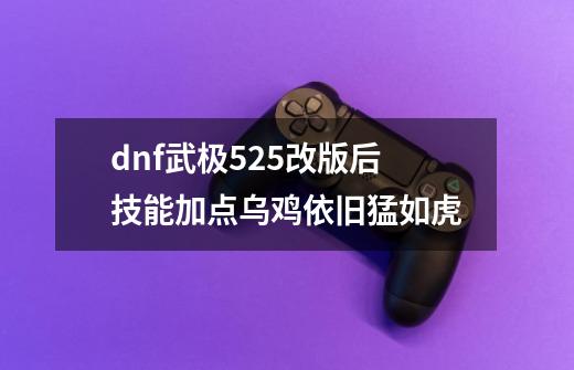 dnf武极525改版后技能加点乌鸡依旧猛如虎-第1张-游戏信息-龙启网