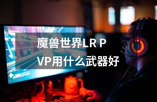 魔兽世界LR PVP用什么武器好-第1张-游戏信息-龙启网