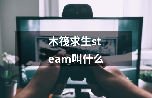 木筏求生steam叫什么-第1张-游戏信息-龙启网