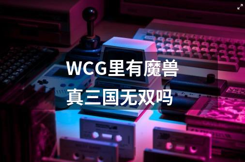 WCG里有魔兽真三国无双吗-第1张-游戏信息-龙启网