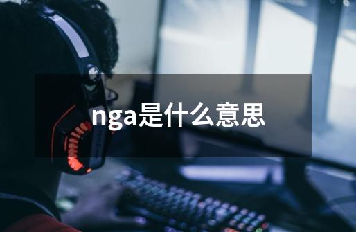 nga是什么意思-第1张-游戏信息-龙启网