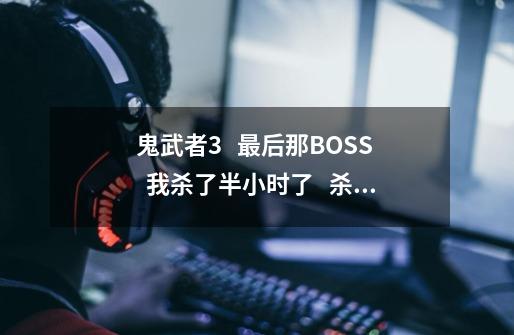 鬼武者3   最后那BOSS   我杀了半小时了   杀不死的-第1张-游戏信息-龙启网