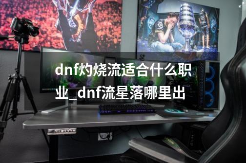 dnf灼烧流适合什么职业_dnf流星落哪里出-第1张-游戏信息-龙启网