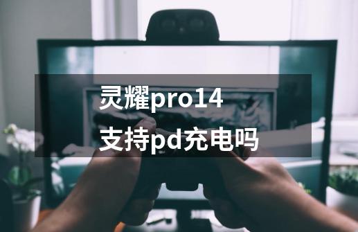 灵耀pro14支持pd充电吗-第1张-游戏信息-龙启网