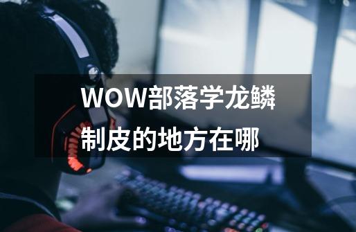 WOW部落学龙鳞制皮的地方在哪-第1张-游戏信息-龙启网