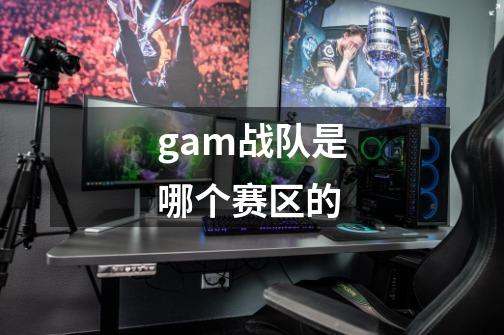 gam战队是哪个赛区的-第1张-游戏信息-龙启网