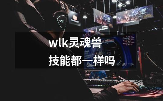 wlk灵魂兽技能都一样吗-第1张-游戏信息-龙启网