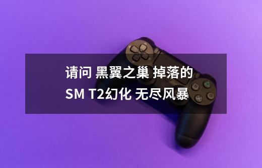 请问 黑翼之巢 掉落的 SM T2幻化 无尽风暴-第1张-游戏信息-龙启网