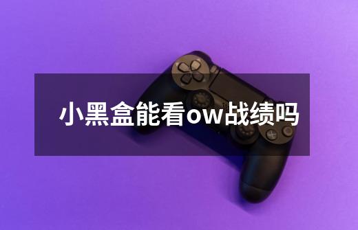 小黑盒能看ow战绩吗-第1张-游戏信息-龙启网